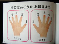 wԍ